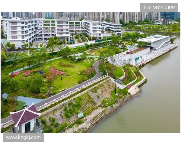 杭州羽毛球队整体表现分析：压制优势与失误影响的深度探讨